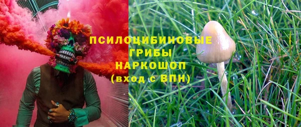 гашик Абаза