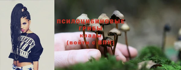 a pvp Алексин