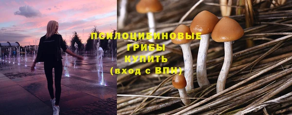 гашик Абаза