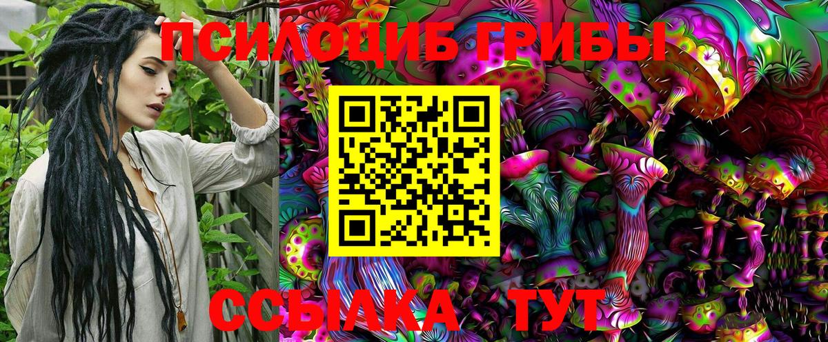Псилоцибиновые грибы Psilocybine cubensis Лабытнанги