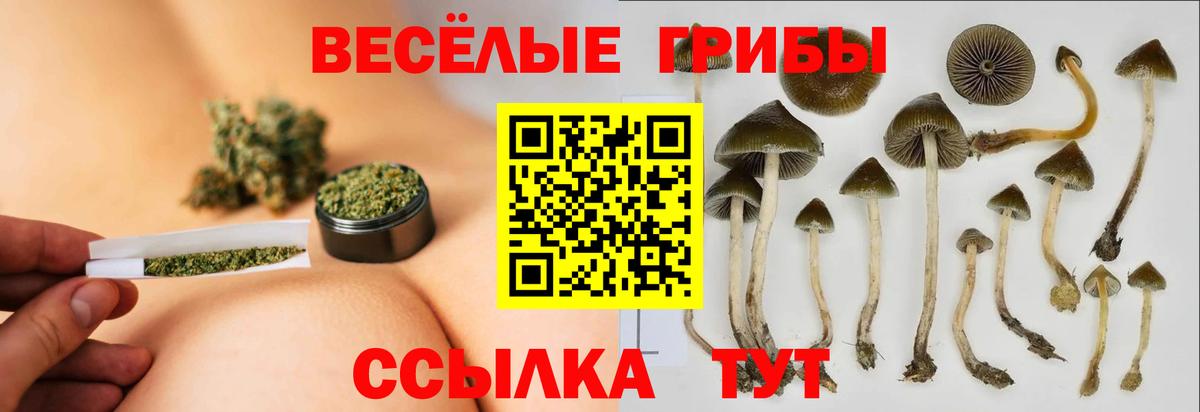 Лабытнанги  Галлюциногенные грибы Cubensis  Вход с VPN  Псилоцибиновые грибы ЛСД 